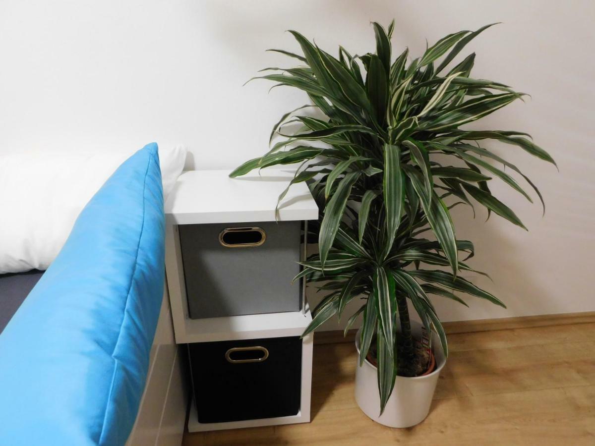 Alte Schreinerei Appartement